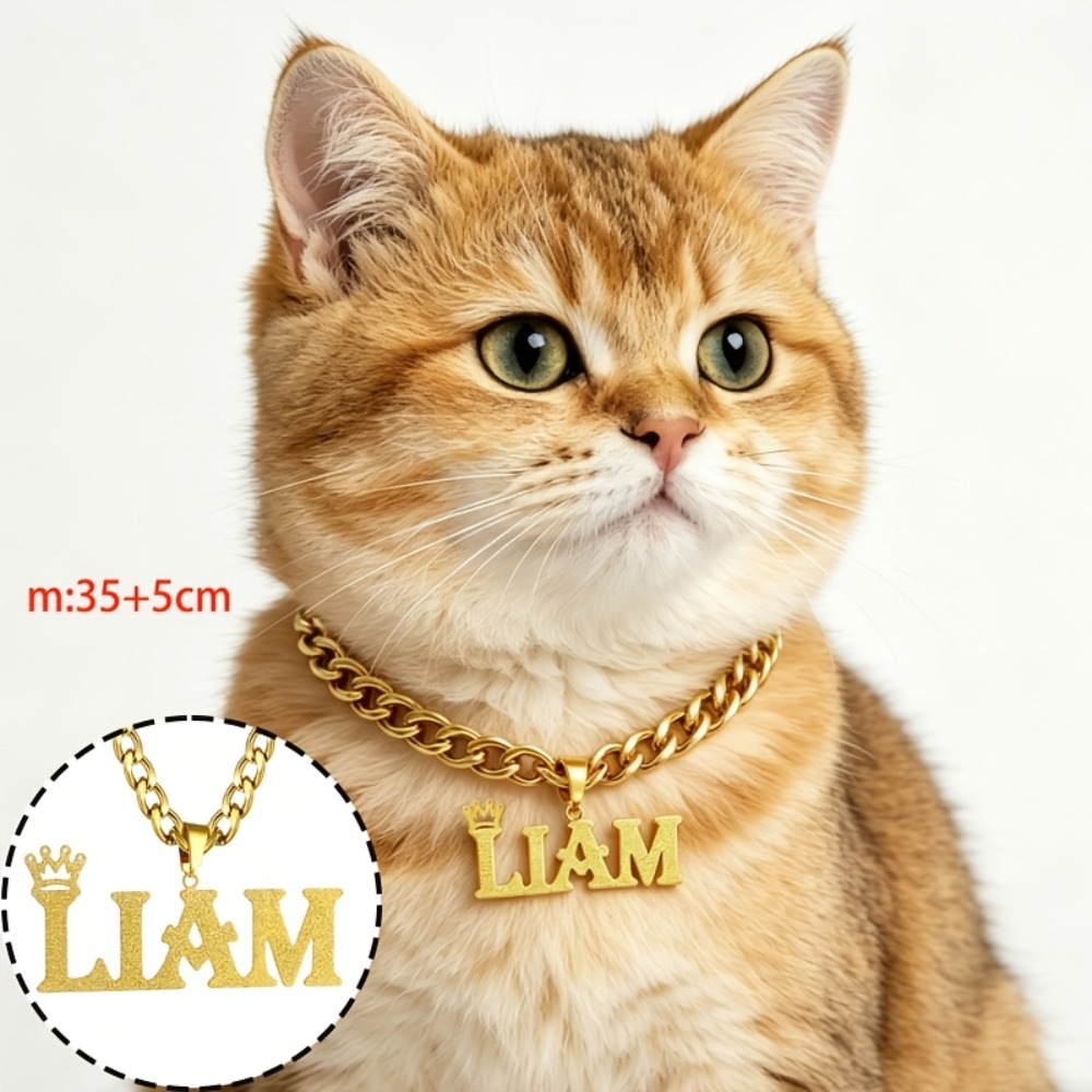 TEMU Collier personnalisé pour chat et chien avec nom, acier inoxydable, finition mate ou brillante, couronne, accessoire, badge d'identification
