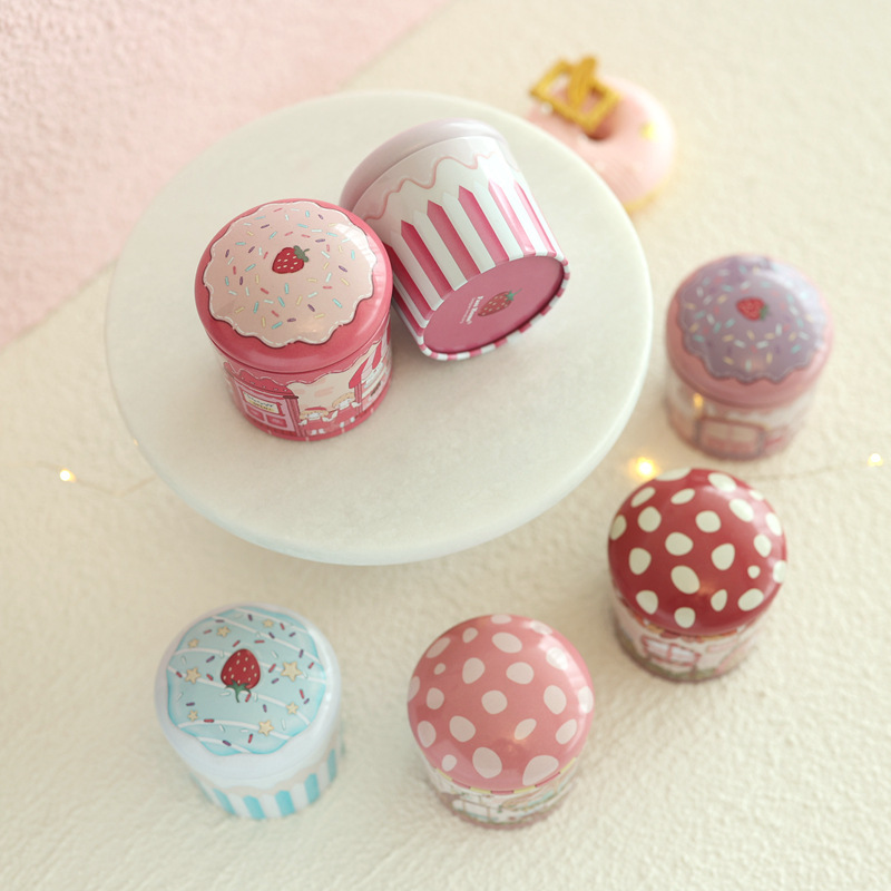 Mini Metal Decorative Can, Multifunctional Storage Box