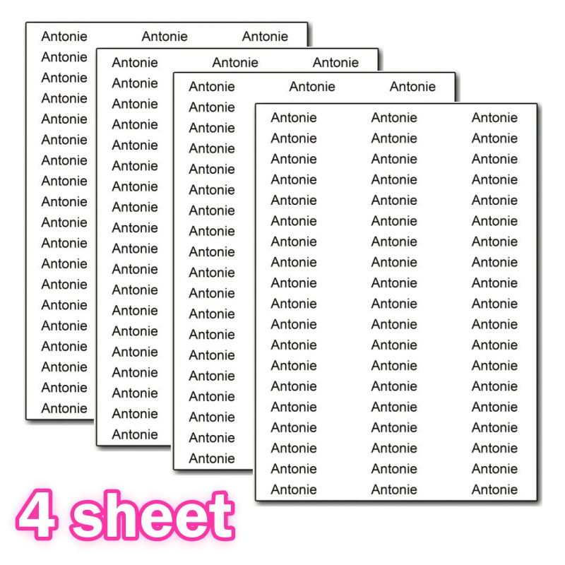 TEMU 4 feuilles/228 pièces d'autocollants nominatifs transparents personnalisés, étiquettes pour la rentrée scolaire, , la classification numérique,