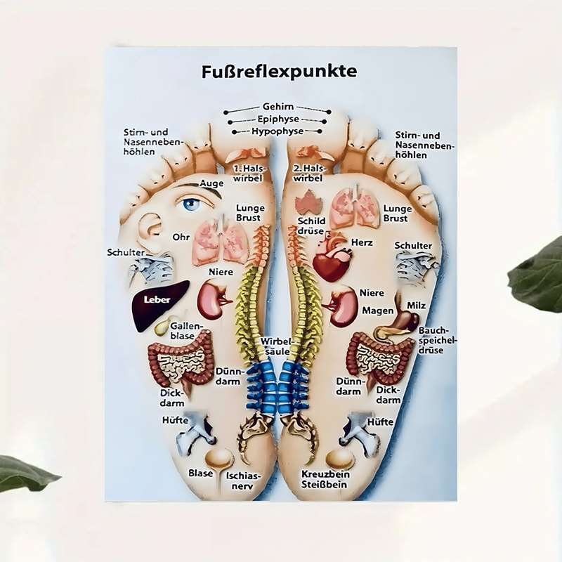 TEMU 2d Flat, 2d Flat, 2d Flat 1pc Foot Reflexology Artwork, Showcasing Anatomy And Health, Designed As Frameless Canvas Decor. An Addition To