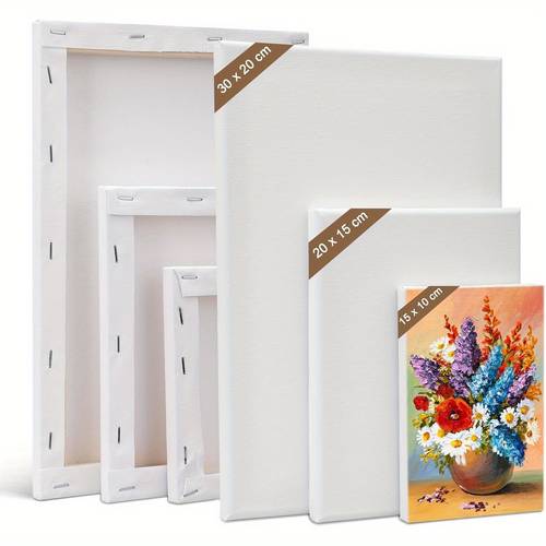 canvas set 6pcs canvas for painting 30 x 20 20 x x 10 cm stretcher frame white painting canvas artist board pictures for oil painting acrylic canvas panels for crafters and