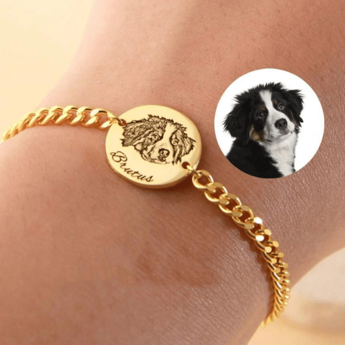 TEMU Bracelet personnalisé pour animaux de compagnie avec un portrait personnalisable de votre animal, d'une de et d'une image de chat. Cette