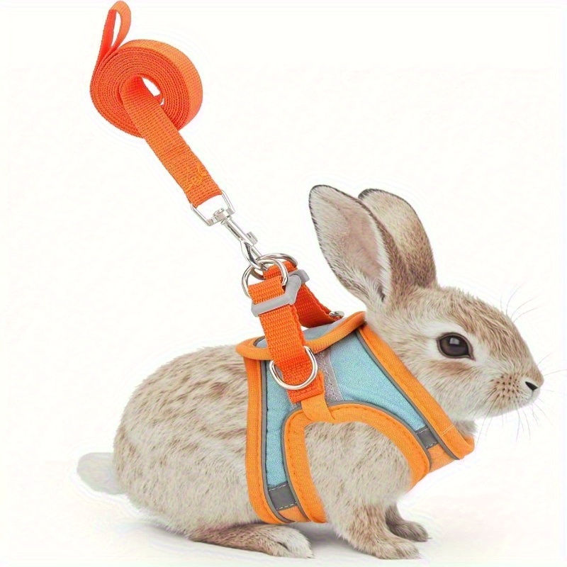 Dit is een tuigje en riemset gemaakt van verstelbaar, reflecterend materiaal