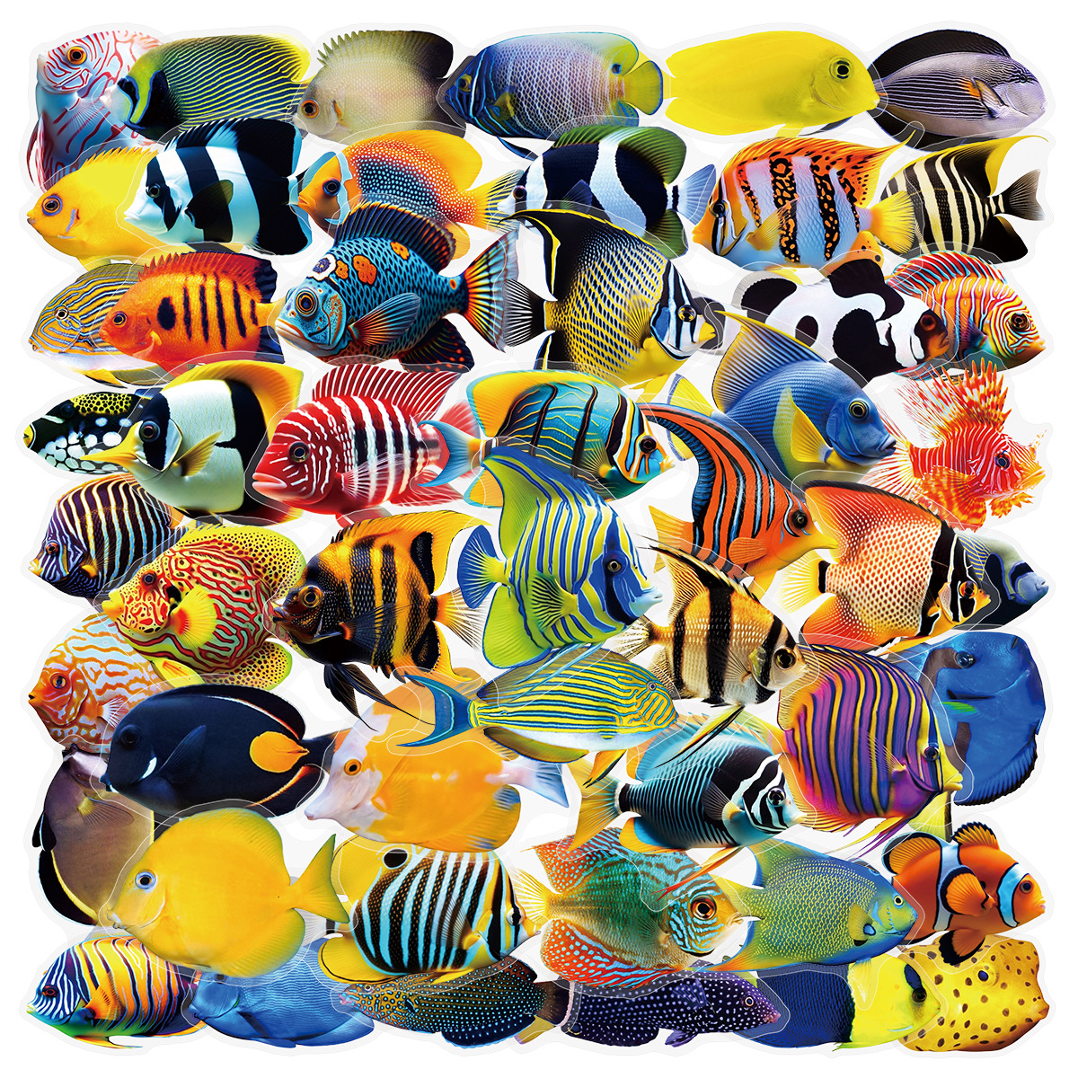 Image of A Set Of 50 Transparent Stickers Featuring Marine Fish Designs, Suitable For Decorating Suitcases, Phone Cases, Laptops, Helmets, Skateboards, And For Decor