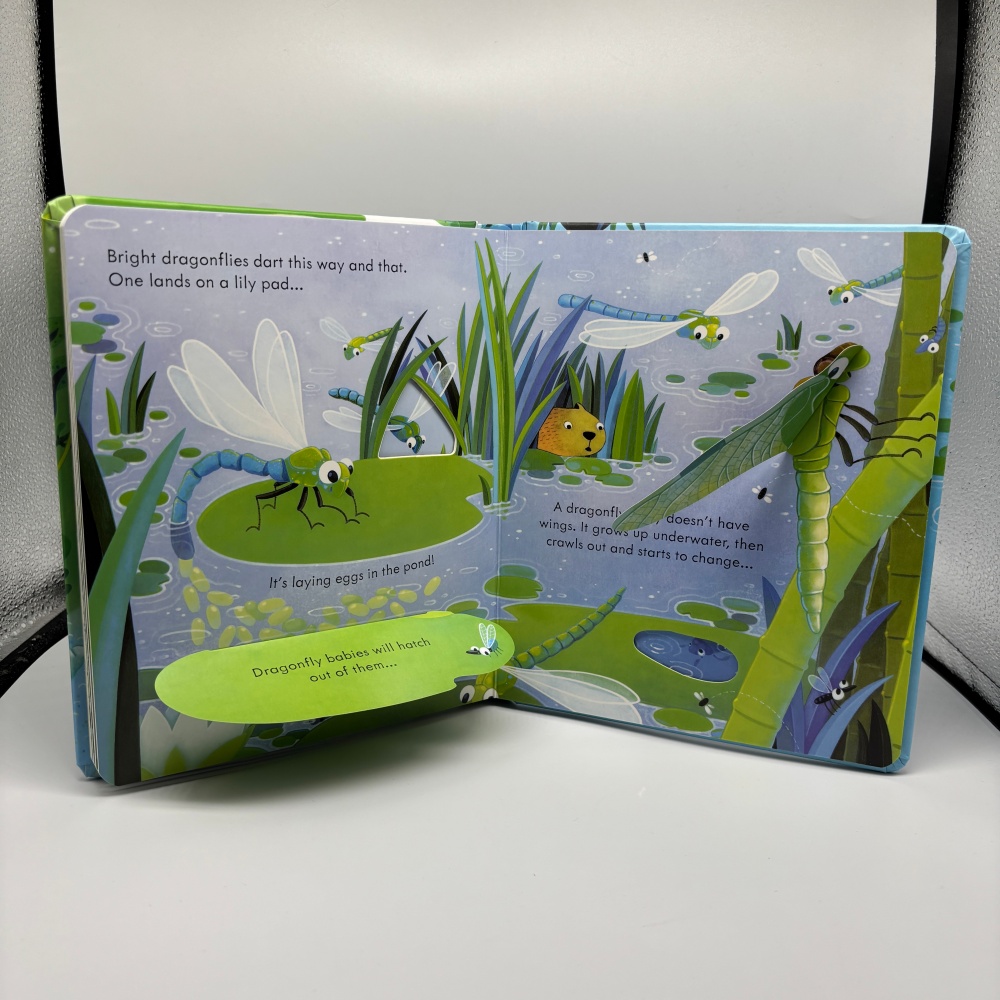 Durable Pop-Ups Learning Material for Family Reading