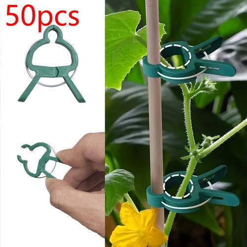 50pcs adjustable plant support clips support tools for tomatoes vines flowers reusable durable plastic clips for effortless installation ensuring beautifully organized gardens