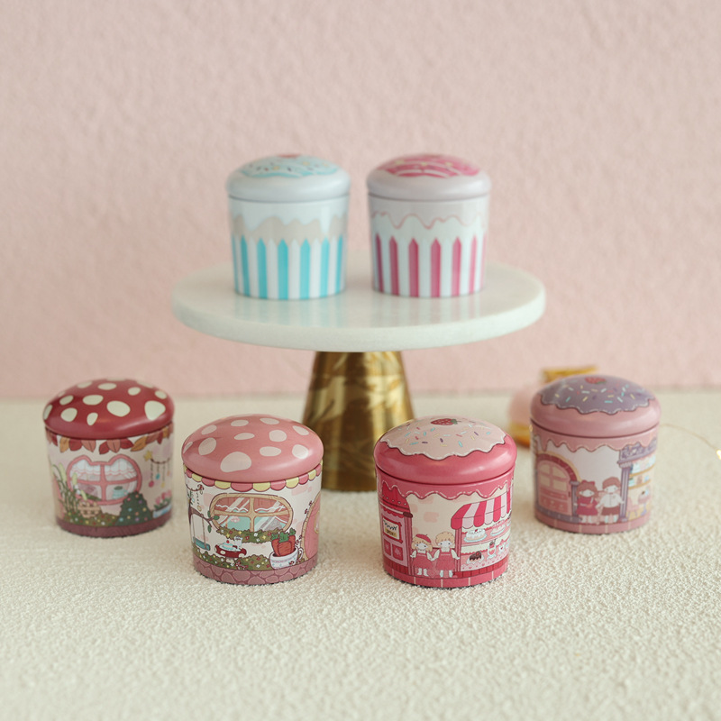 Mini Metal Decorative Can, Multifunctional Storage Box