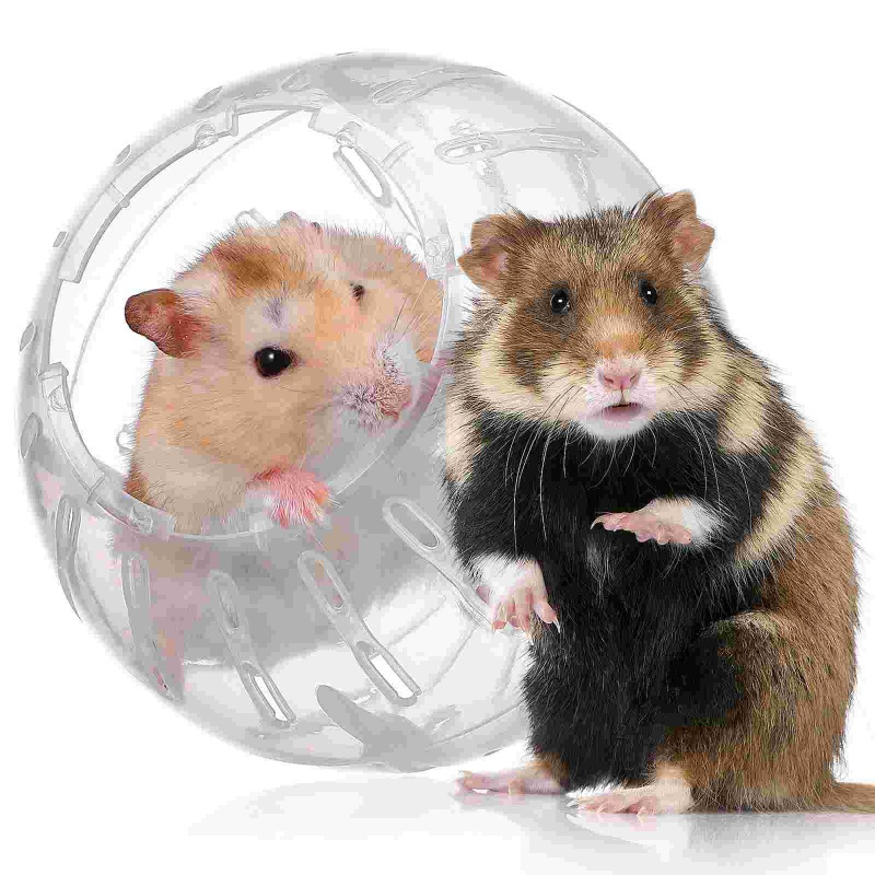 7" Clear Hamster Exercise Ball - Safe, Breathable Running Ball For Dwarf Hamsters & Small Pets
