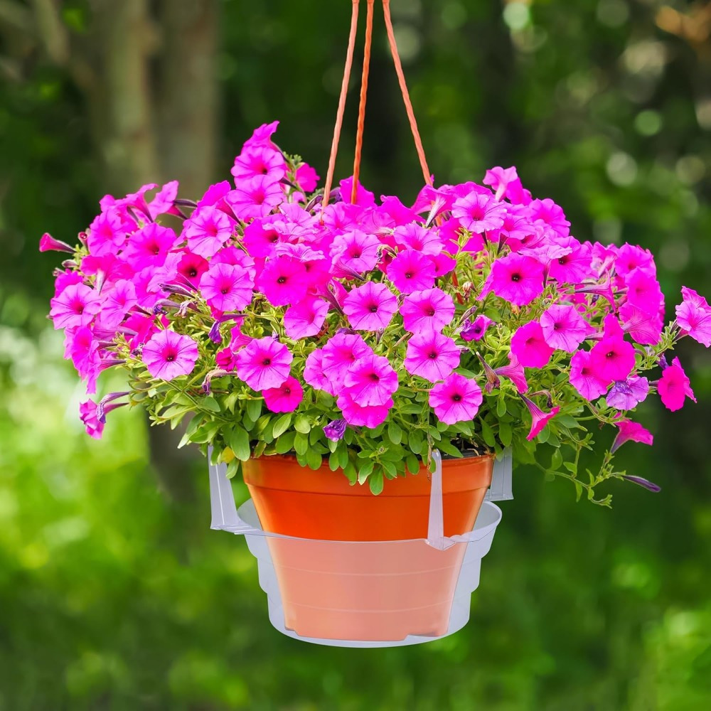 15pcs clear plastic hanging plant saucers trays - heavy-duty 8 inch drip  pans with lightweight design, indoor/outdoor self-cleaning water collectors  for hanging flower pots, baskets, gardens (compatible with potted plants |  Shop