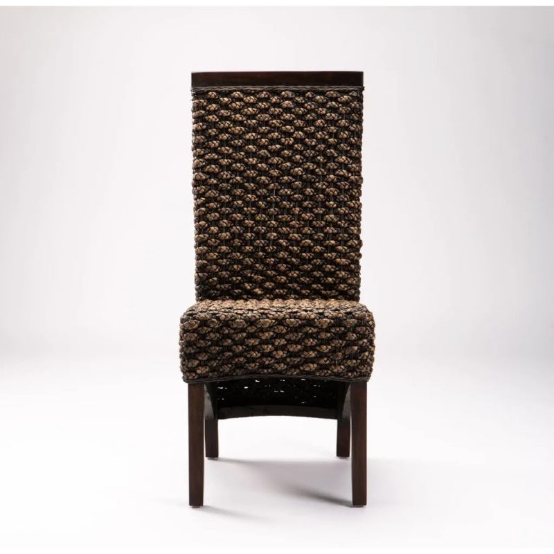 Deluxe Dining Chair, Popular Styles for 2026 Year