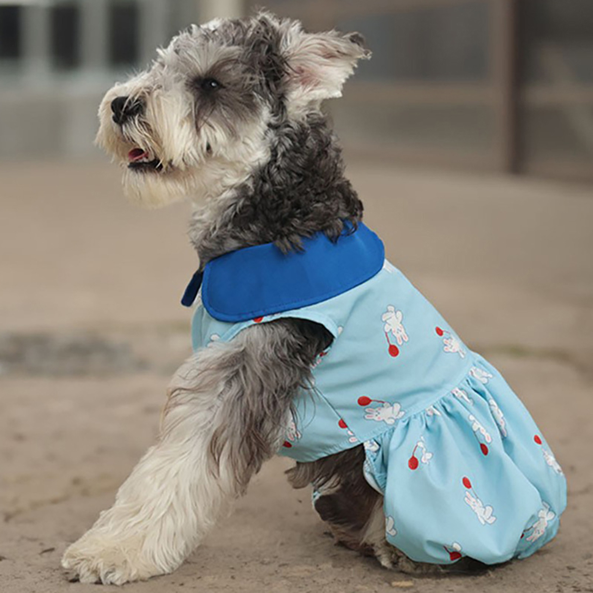 dog green dress Dog Green Floral Dress main image 1