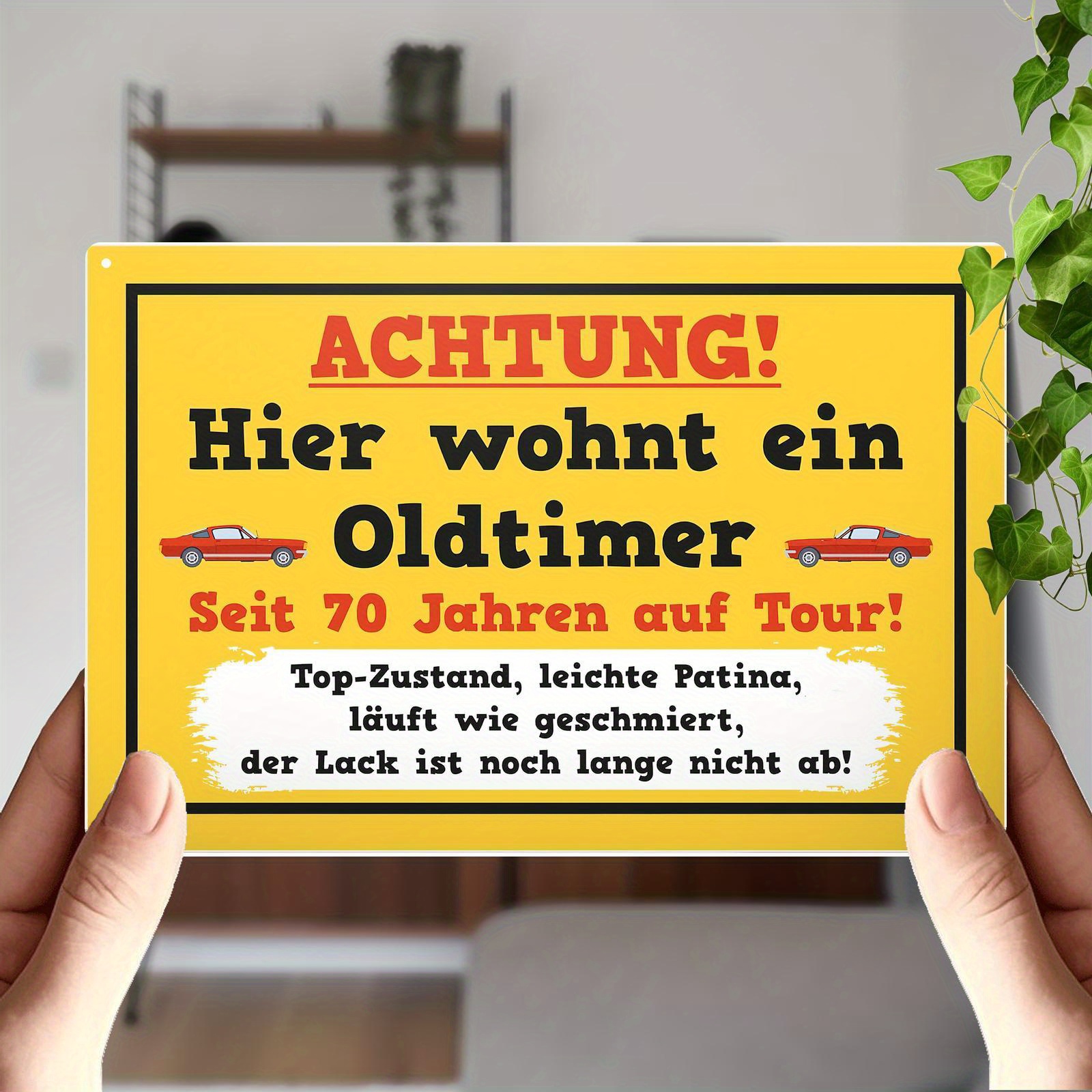 E-shop 2D Flach, 1 Aluminium 2D Flachschild Deutsch " 70 Jahre" Kunststoff 30X20Cm 70. Geburtstagsgeschenk für Männer Freundes 70. Geburtstagsfeier