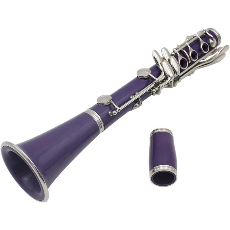 17-Key Bb Clarinet Set, Professional   Instrument, Lightweight ABS with Gloves, Cleaning Cloth, Screwdriver, Reed Storage