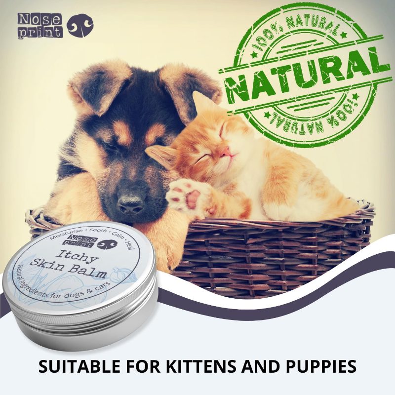 100ML Dog Itchy Skin Relief Instantly Cracked Itchy Skin And Paws - Cruelty-Free Formula - Best Grooming for Dogs Natural Dog Dry Skin Itchy Dog Skin Relief