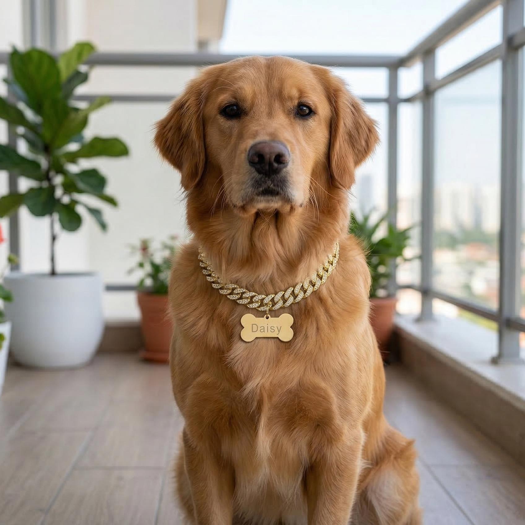 Personalized Fashion Pet Collar with Customizable Bone-Shaped ID Tag
