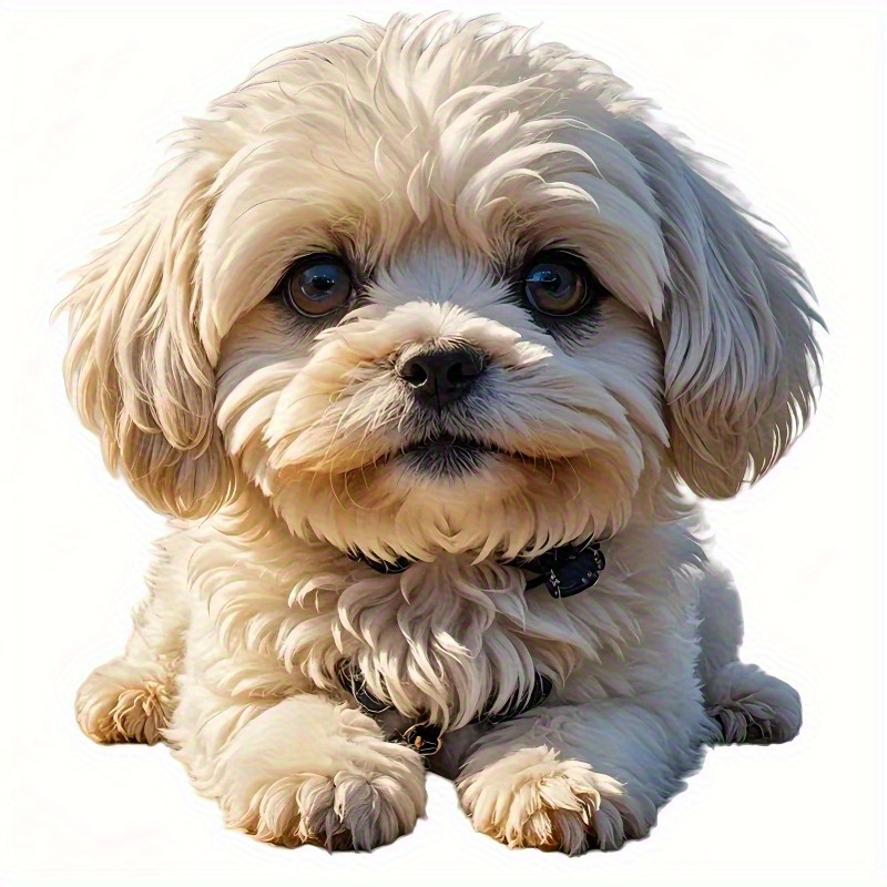 TEMU Waterproof Pvc Stickers| Cute White For Laptops, Cars, Motorcycles And Suvs| Durable Decals For Windows And Vehicles| , Waterproof Stickers For Outdoor Use