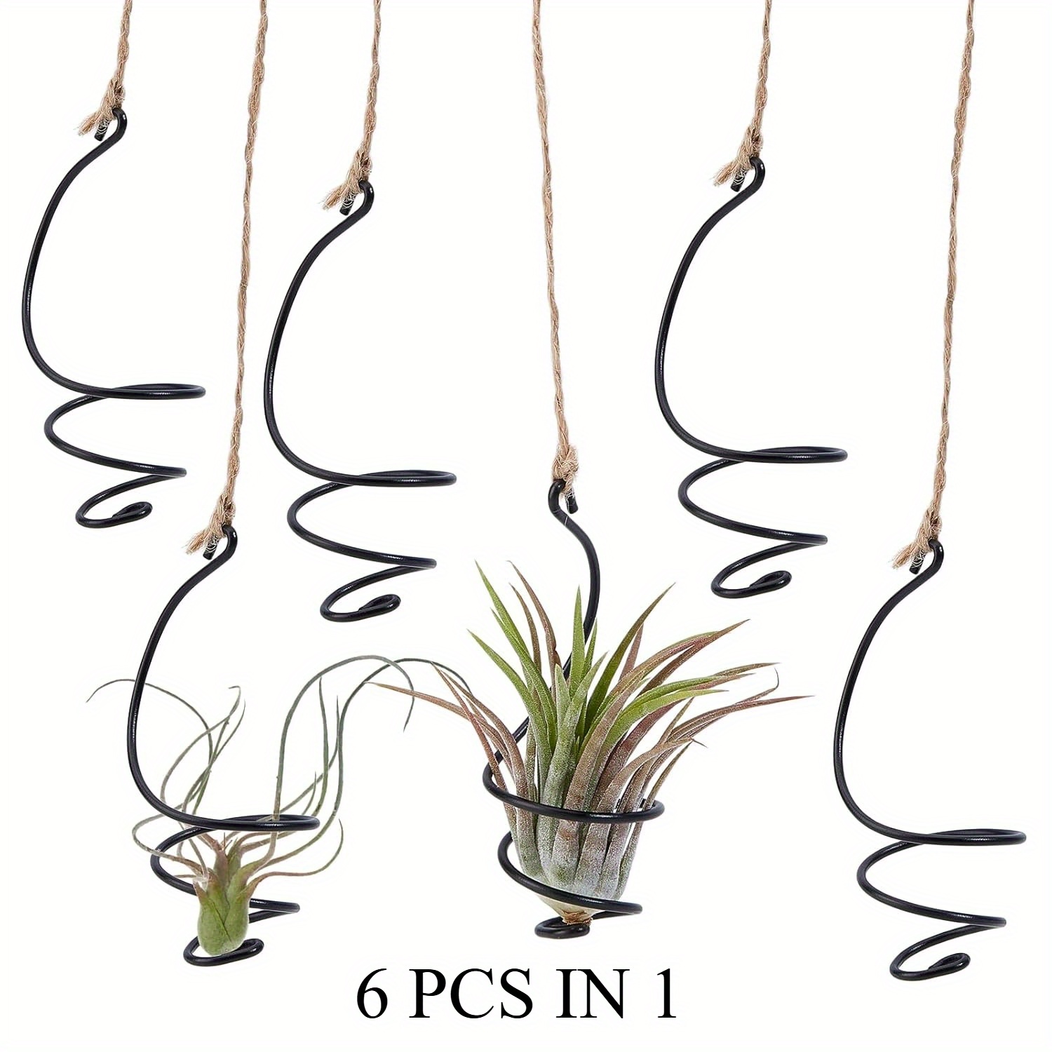 Image of 6 Pack Hanging Air Plants With Jute Rope, Hanging Cage, Soilless Succulent Plant Display Container, Marble Stand For Indoor And Outdoor Plants, Garden, Party Decoration, For , Succulents, Decor