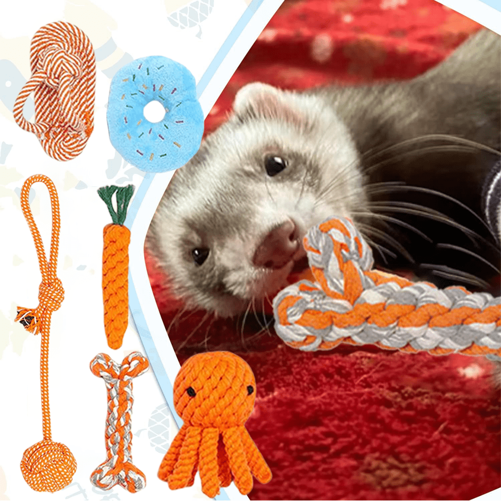 

6 Pack Knotted Rope Ferret Toys Interactive Dog Leash Toy Set Machine Washable Tug Of War Great For Teething Rope Chew Toy, Without Battery