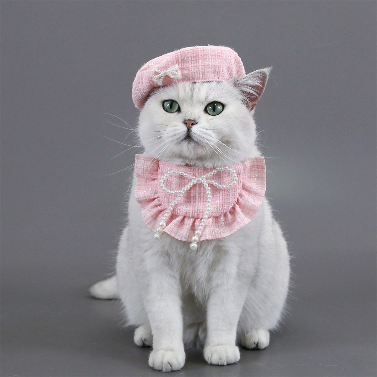 Pet Princess Costume Christmas Costumes Cat Birthday Outfit Cat Apparel Dog  Costumes with Beret Hat