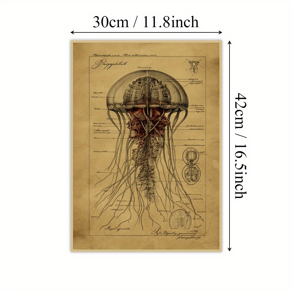 TEMU Poster da 1 pz , da parete di stile, poster con di vita marina, stampe di illustrazioni vintage su poster di carta, decorazione da parete per la