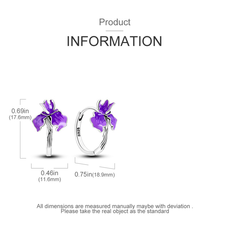 Women's S925 Hypoallergenic Classic Hoop Earrings, Gift