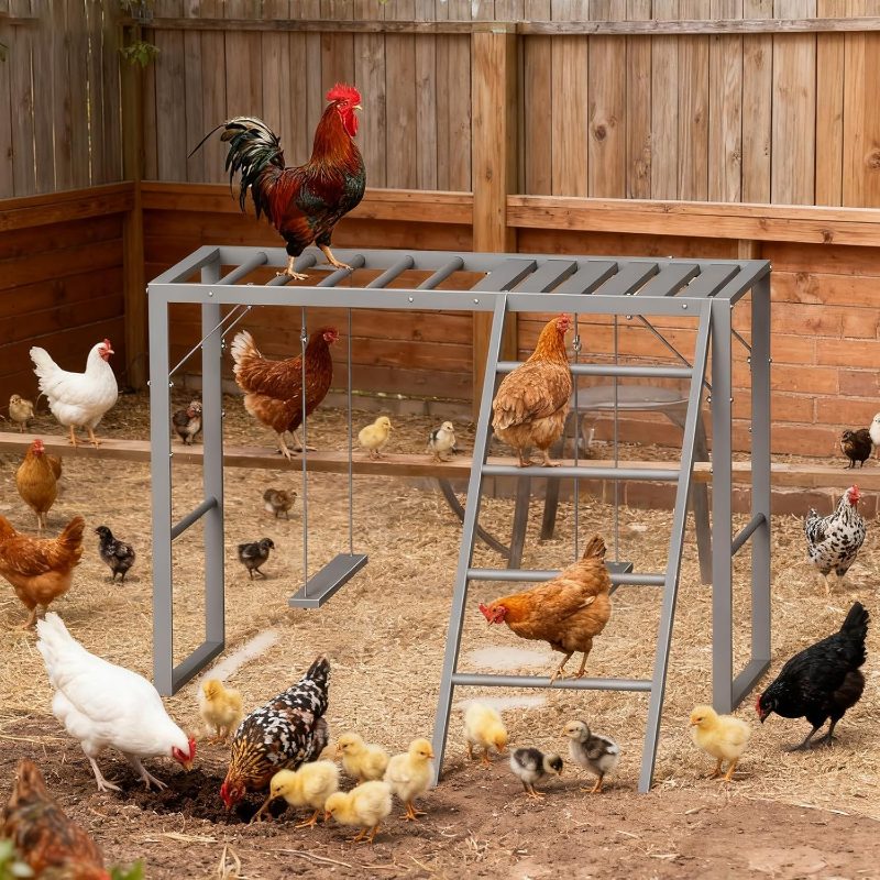 YBING Large Chicken Perch Coop, Chicken Perch Swing with Ladder, Chicken Roosting Bars Coop, Chicken Perch Roosting Bars, Metal Pet Swing Set Pet's Healthy Happy 8-10 Chick, - Image 8