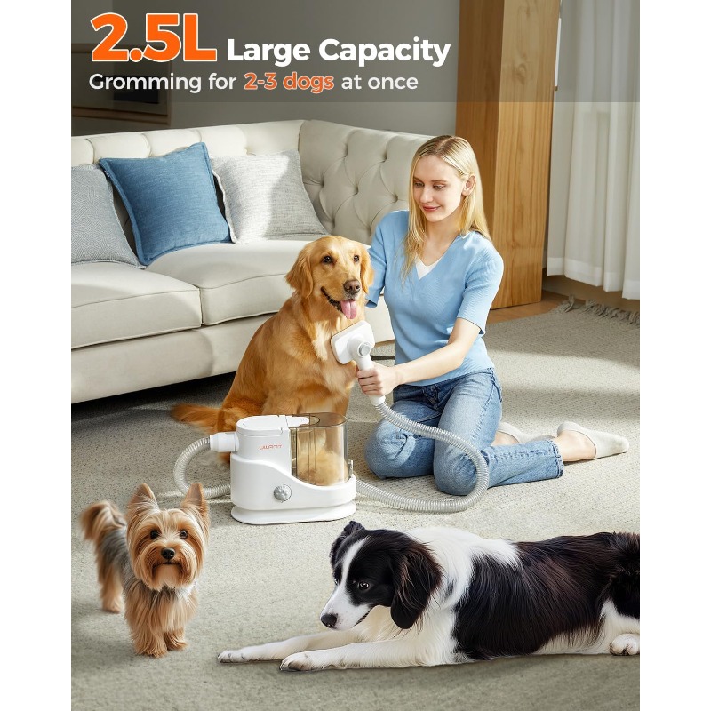 PawLux gallery image 4