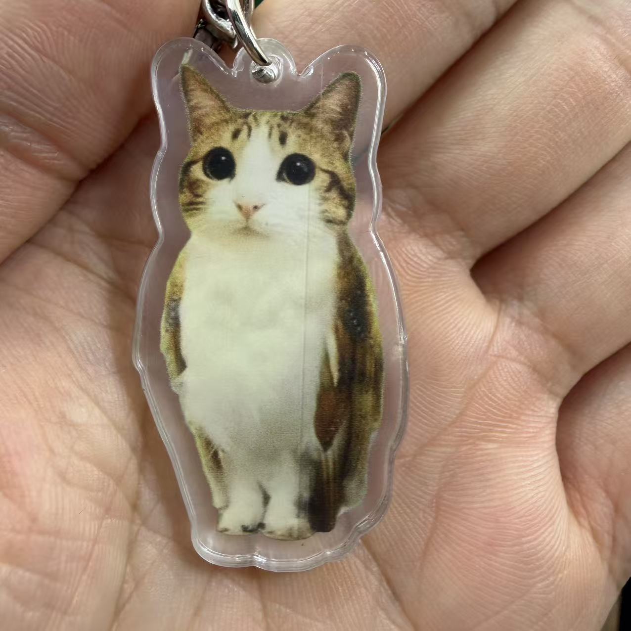 Funny Standing Meme Cat Acrylic Keychain, Cute Bag Charm