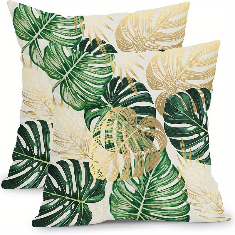 philodendron zebrina Philodendron 'Revolution'