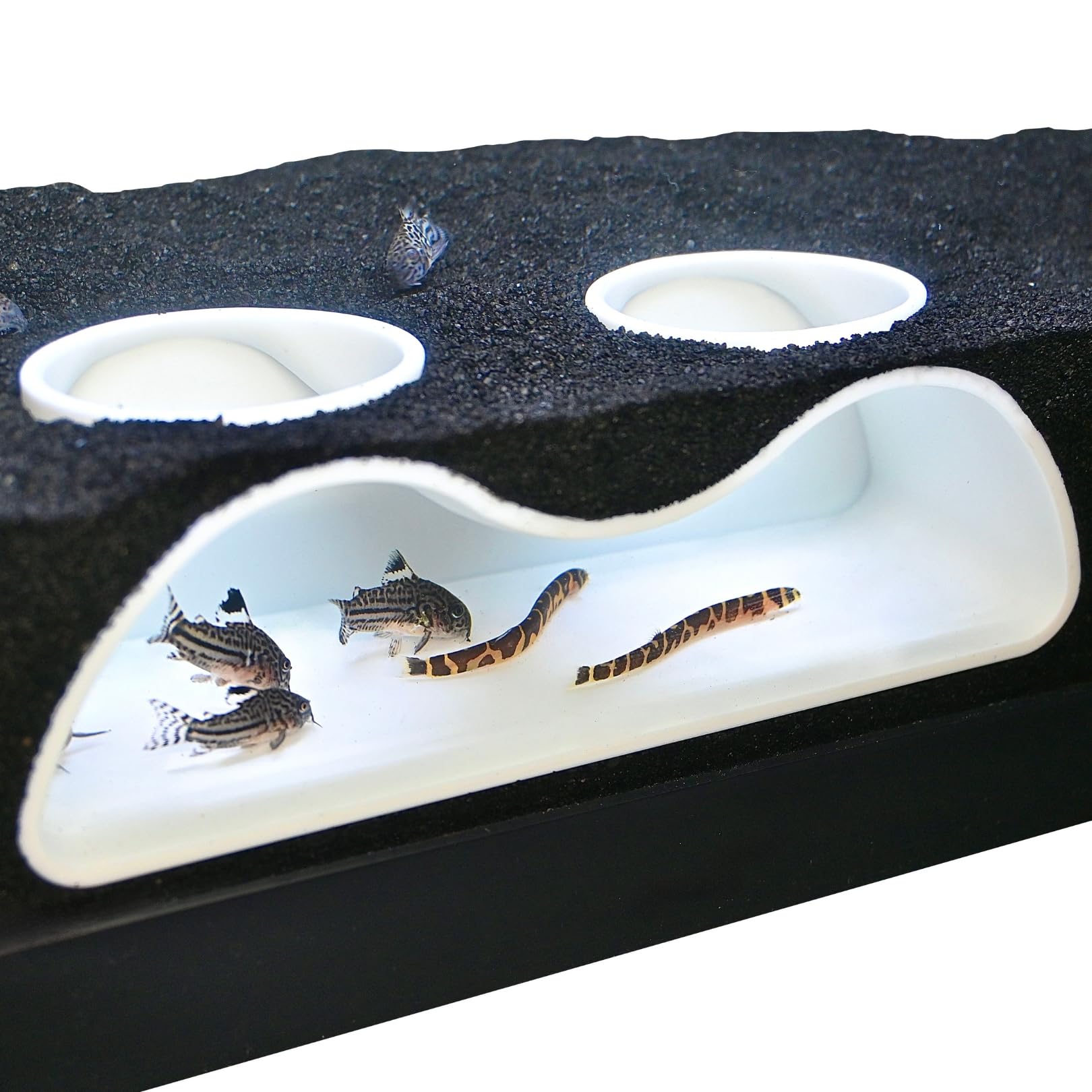 TEMU Aquarium Underground Tunnel Cave, 2 Hole 1pc Abs Aquarium Hideout Tunnel, Suitable For Freshwater And Saltwater Aquariums, Allows Viewing Fish &