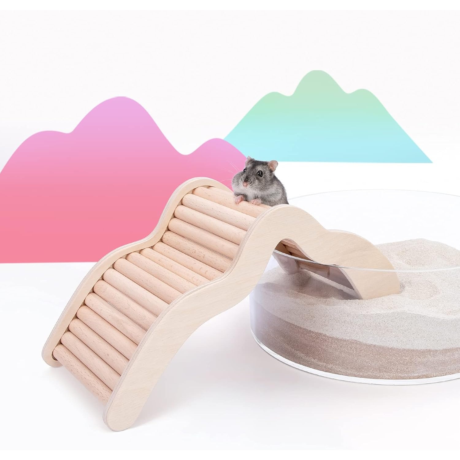 Hamster Climbing Bridge Ladder for Small Pets