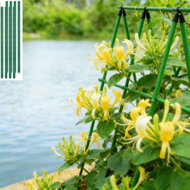 TEMU A Set Of 9 Sturdy Metal Support Frames, Suitable For Garden Plants, Equipped With Durable 8mm Thick Rust-proof Core Material, Suitable Size,