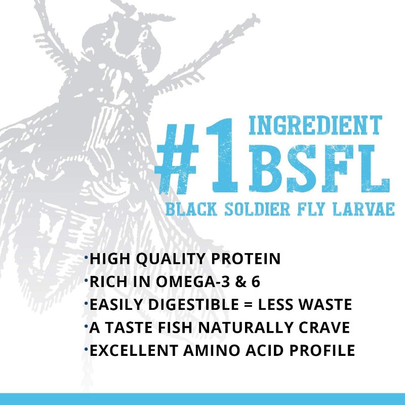 1.59oz Fluval Bug Bites Tropical Fish - Small Granules, Insect-Based Aquarium Diet with Protein for Fish, Shrimp, Mollies, Guppies, Platies - Fish Supplements for & Aquariums (Compatible with) - Image 4