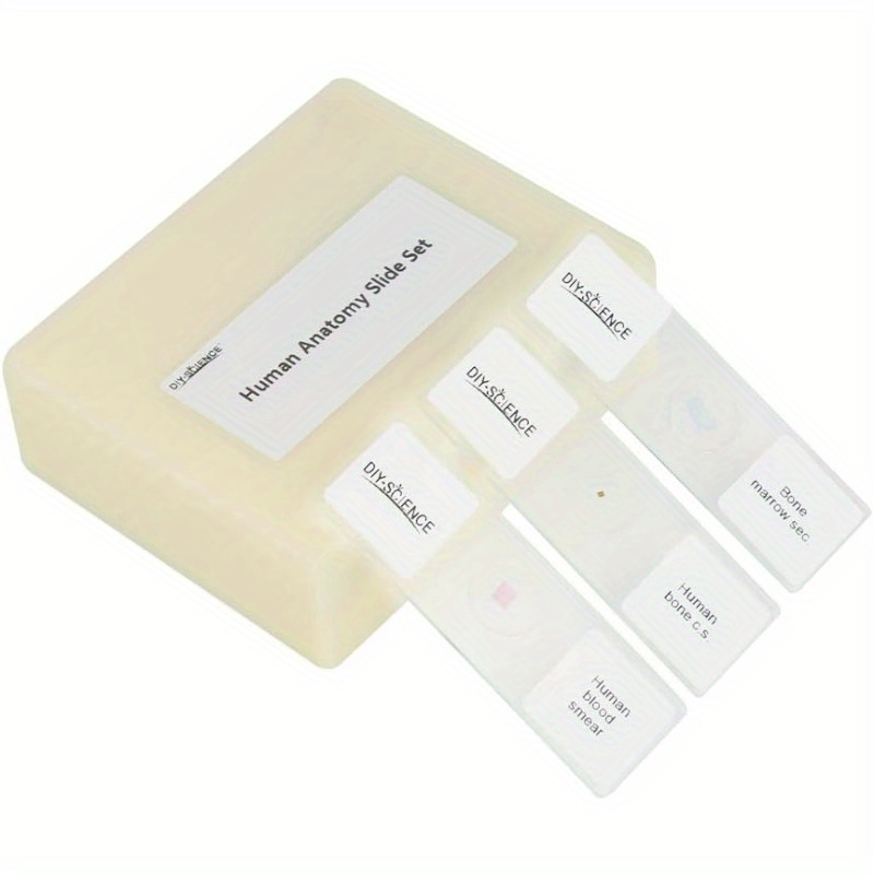 microscope slides sold on Temu United States