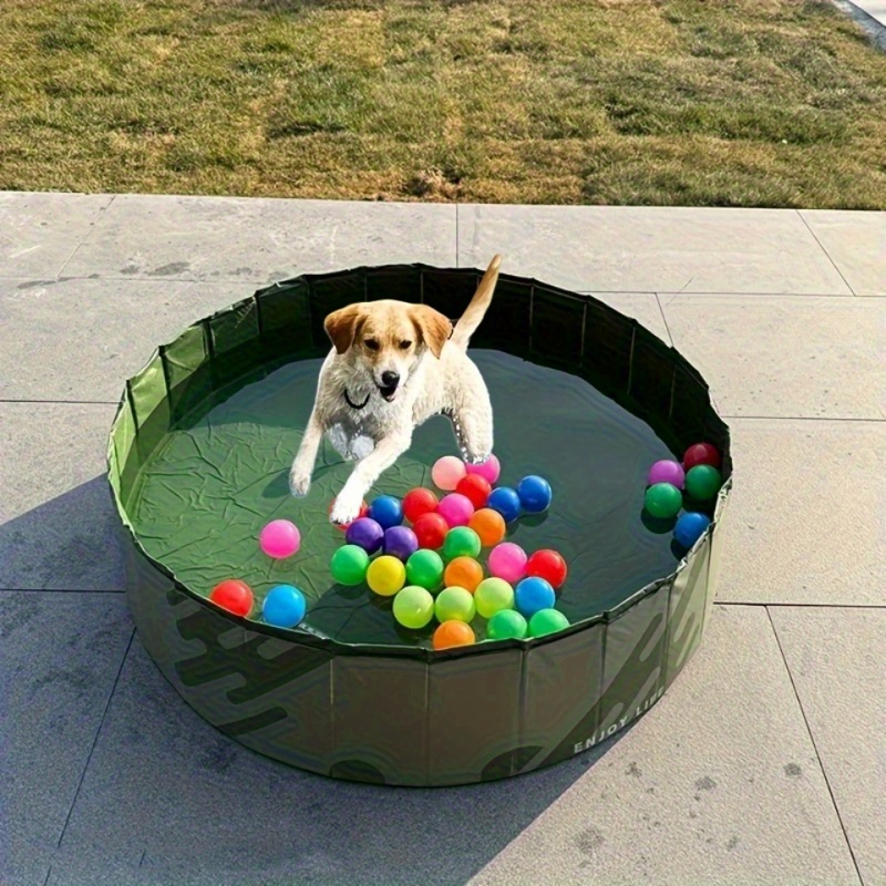 dog pool - South Africa
