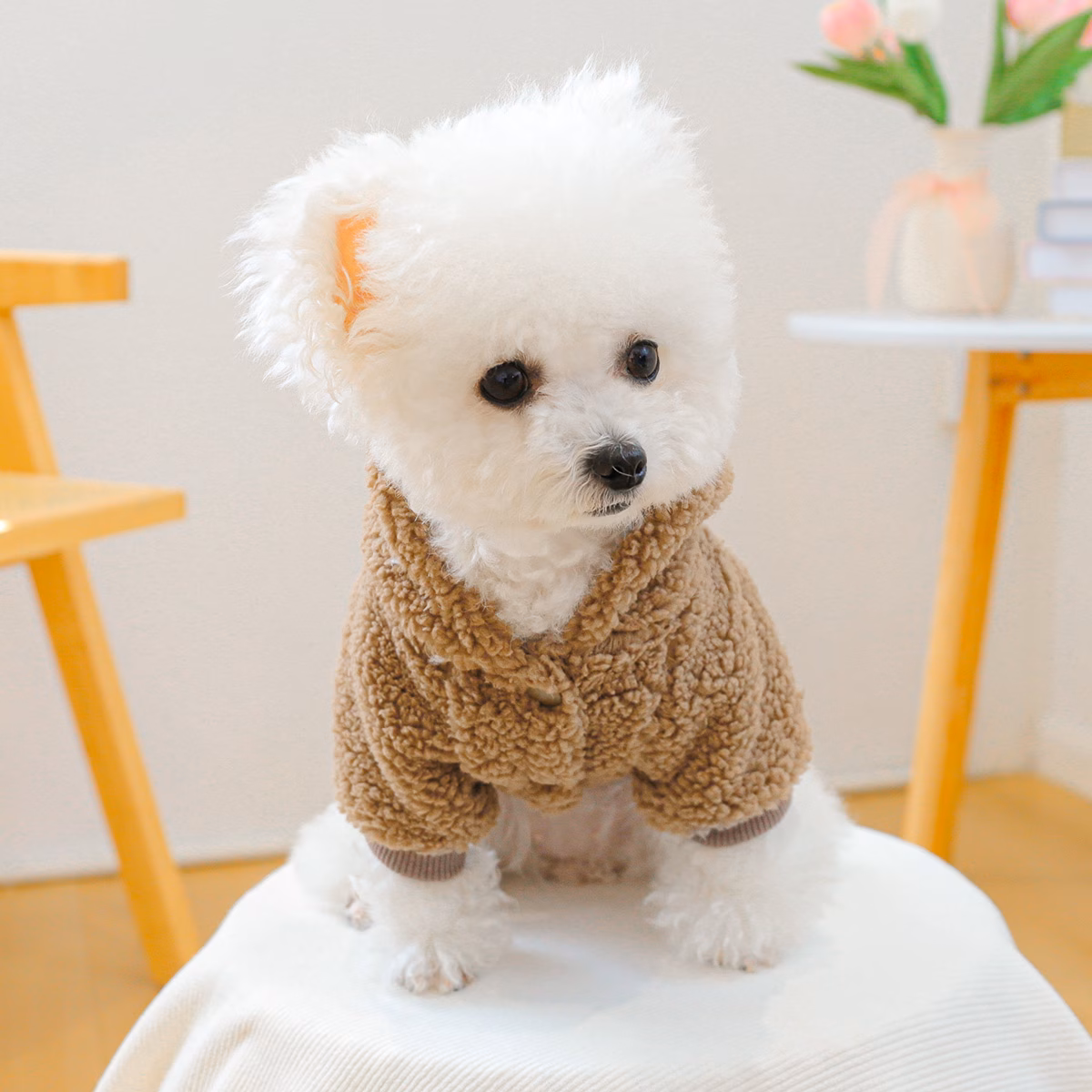 pet clothes kitten puppy outfit korean style hoodie hooded sweatshirt jacket home and outdoor dual use apparel Product details 2