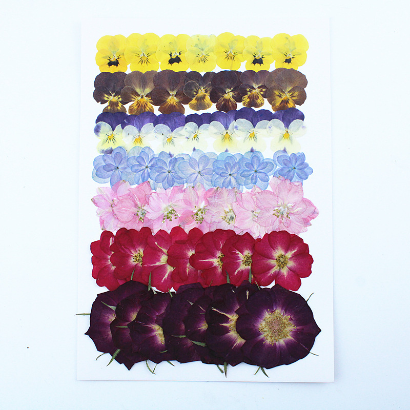 Of Dried And Preserved Flowers Embossed Bag, Suitable For Projects Like Flower Arrangements, Plastic Photo Frames, And Candles, Perfect For Parent-child Activities