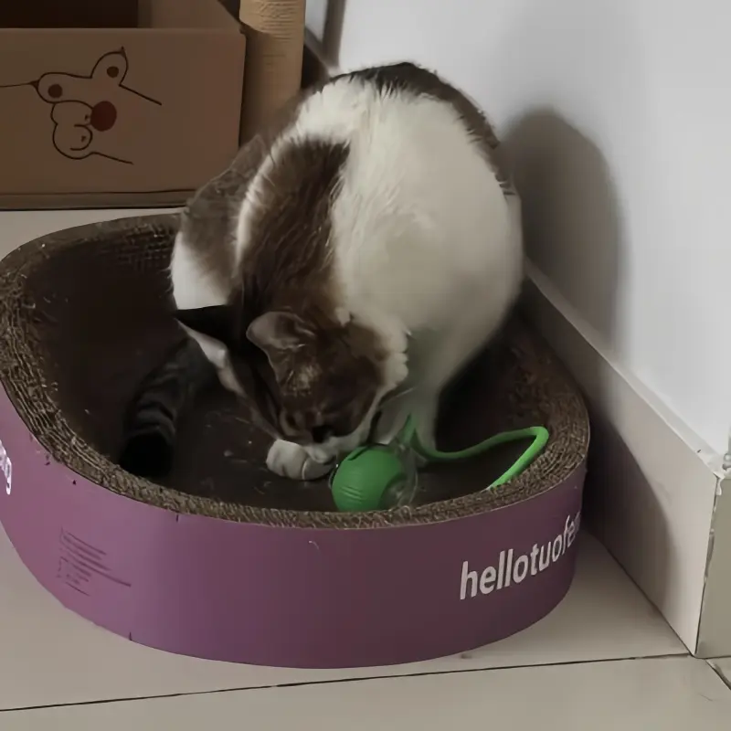 2-pack brinquedos para gatos, automática inteligente para cães e gatinhos - do tédio com de rolagem autônoma Detalhes do produto 3