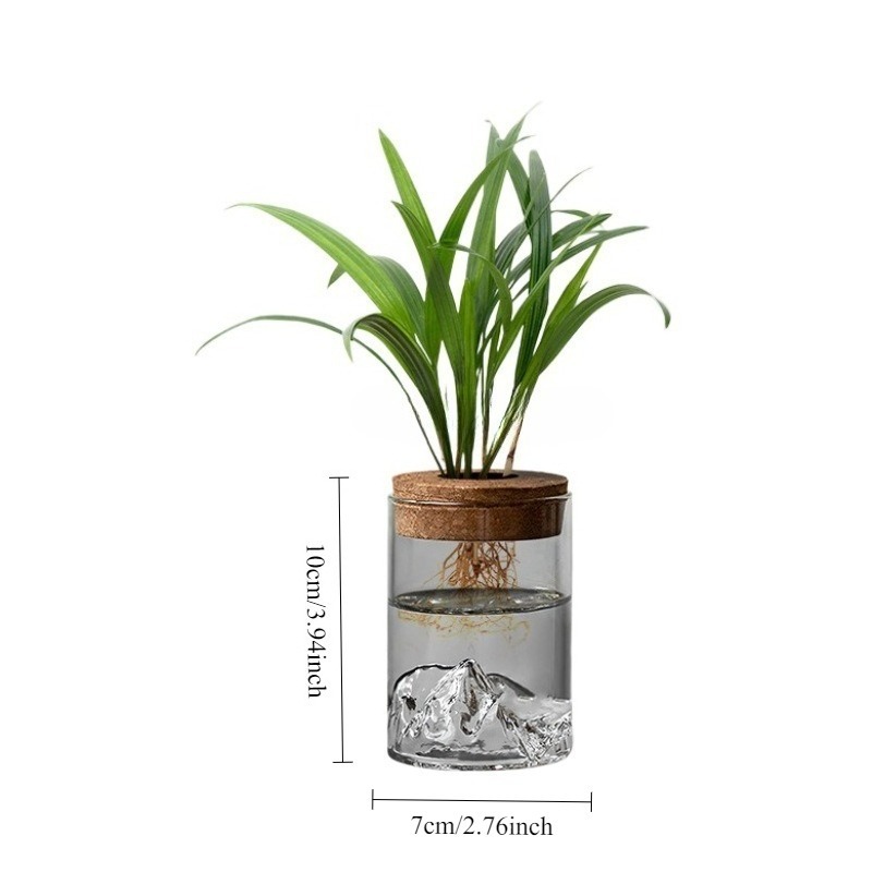 2pcs set   glass vase hydroponic green plant micro landscape creative desktop decoration for     potted plant for   Product details 2