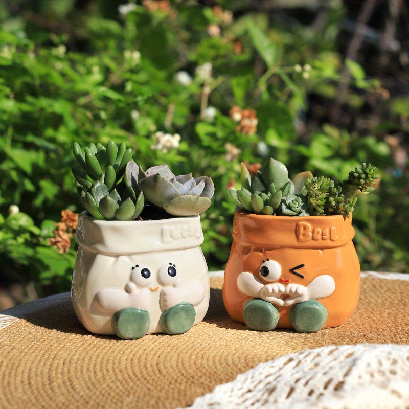aloe vera plant pot size Aloe Vera | Indoor Plant | Tropical Plant | Potted Plant