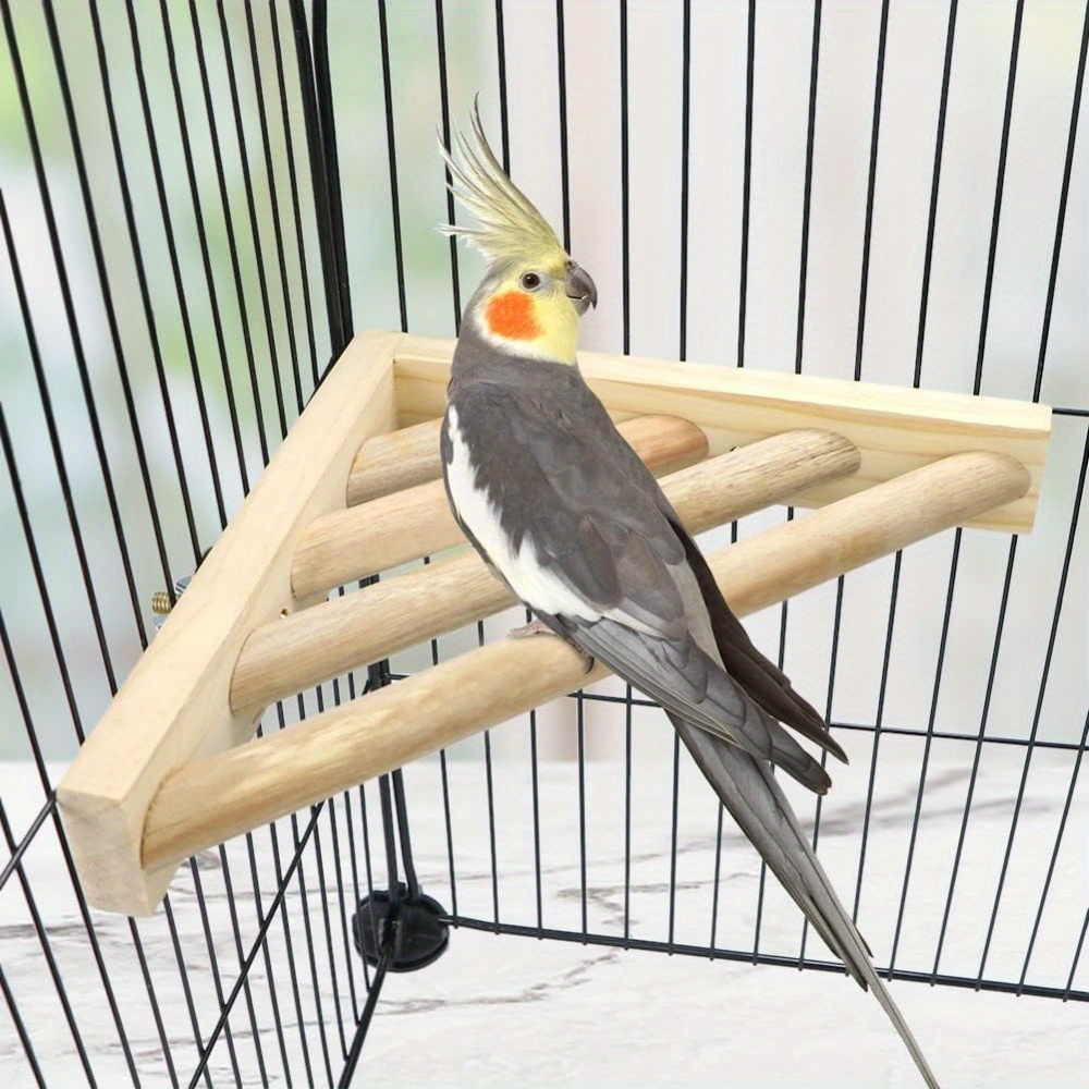A Corner Platform Stand For Birds, Suitable For Budgies, Parakeets, Cockatiels, Conures, And , Featuring A Ladder