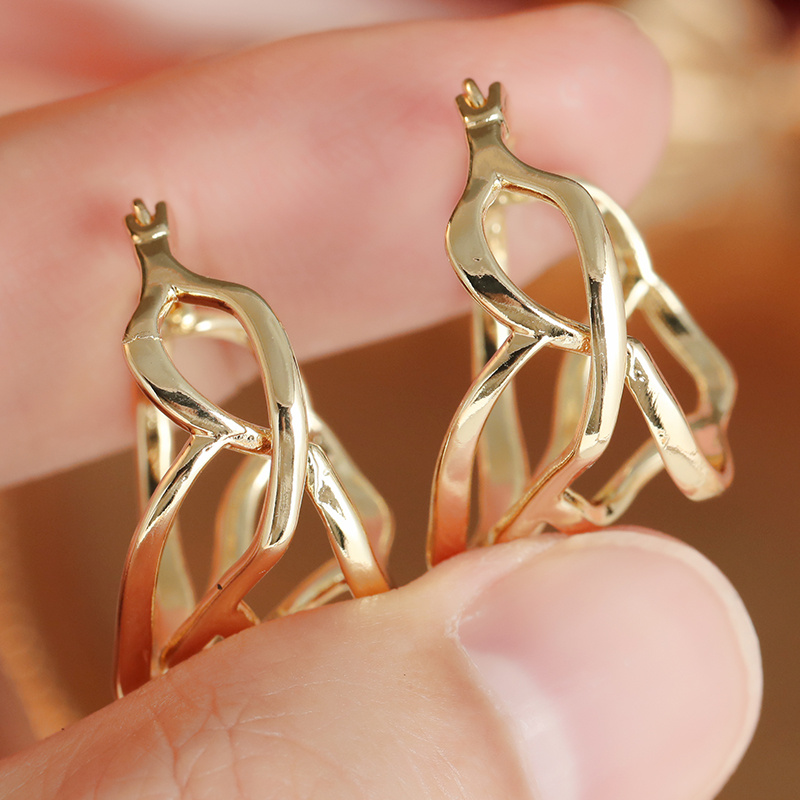 Silvery Elegant Drop Earrings, Interlocking Rings Design