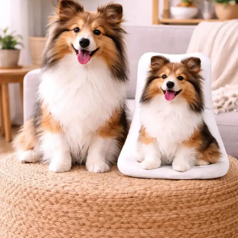 individuelles 3d foto kissen günstig – personalisiertes