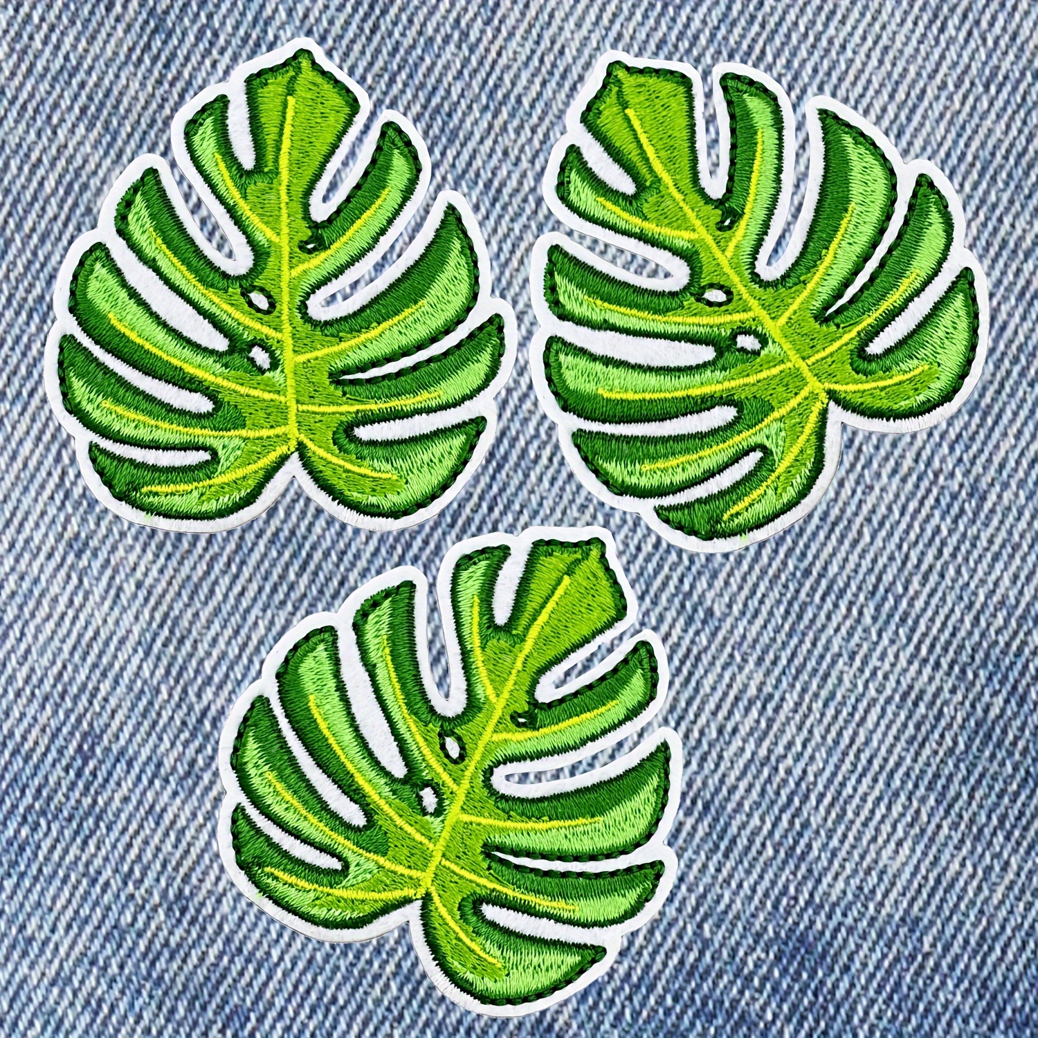 foto philodendron Philodendron main image 1