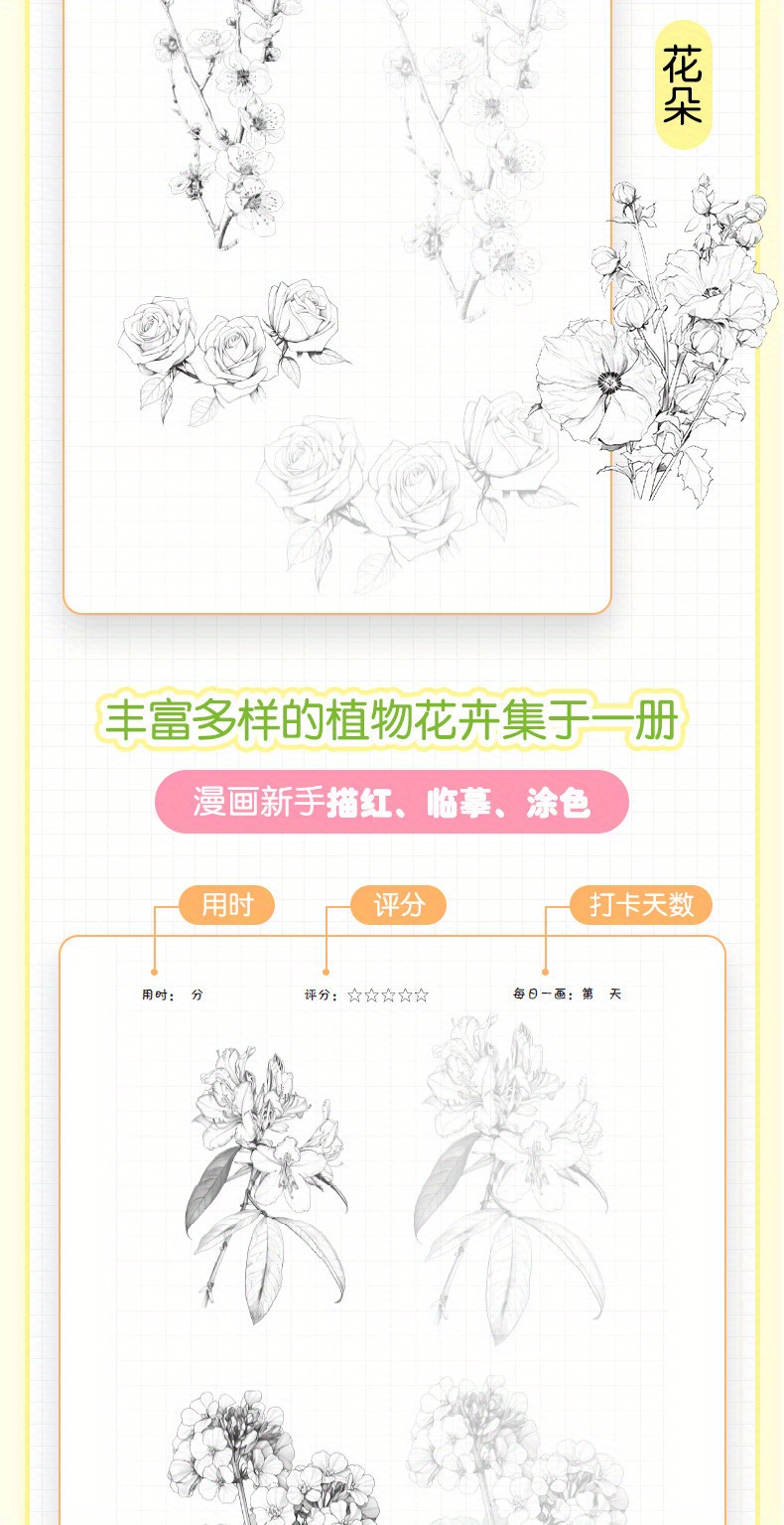 Flower Painting Pencil Line Drawing Copybook Chinese Version