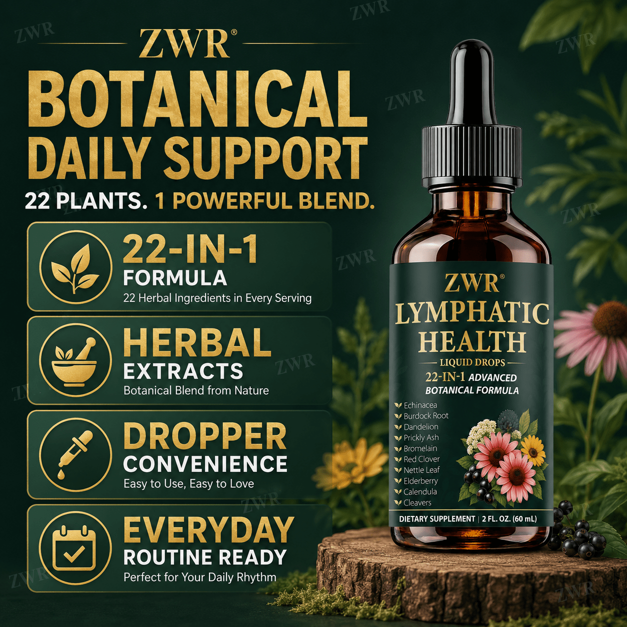 21-In-1 Herbal Lymphatic Health Drops, Echinacea Lymph Health Supplement, with Burdock Root, Echinacea, Plantain, Dandelion, for Body Balance & Healthy Defense, Great for Taking 0.03oz Daily with Water, 2.03oz