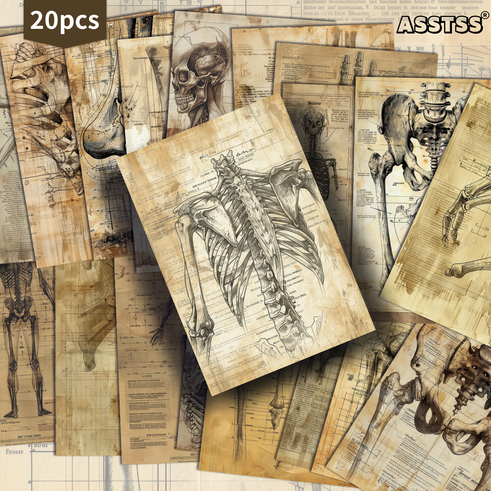 TEMU 20-pack Asstss Vintage Medical Anatomy Postcards - 4x6 Inches Retro Junk Journal Supplies Paper, Scrapbooking Supplies, Collectible Decorative
