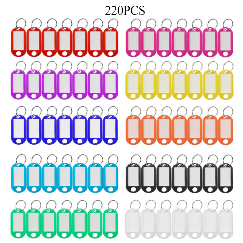 TEMU 220 Piezas de Etiquetas para Llaves Plásticas, Identificadores con Anillo y Ventana Transparente, Etiles ID para Cadena de Llaves, Índices