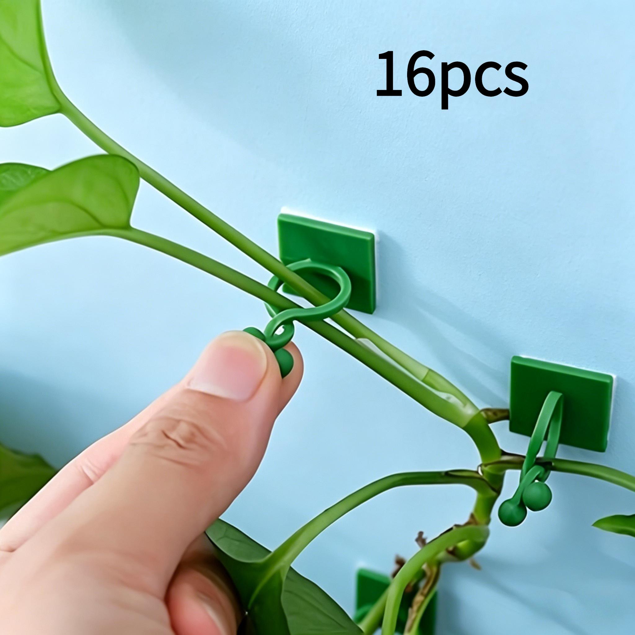 TEMU 16pcs Plant Climbing Wall Clips, Self-adhesive Vine Holders Trellis For , Invisible Cable Management For Indoor Outdoor Plants, Sturdy Clear