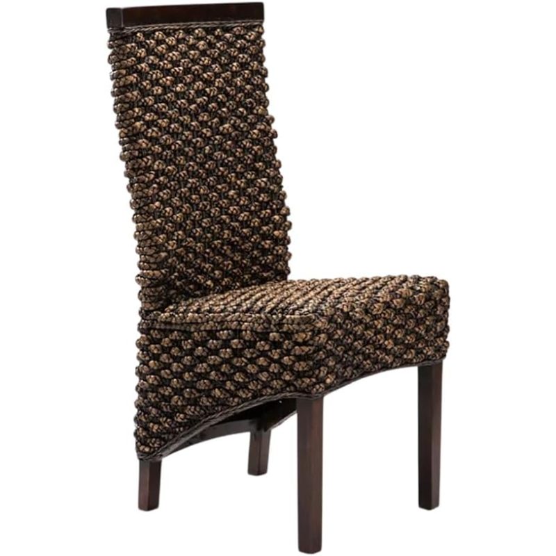 Deluxe Dining Chair, Popular Styles for 2026 Year